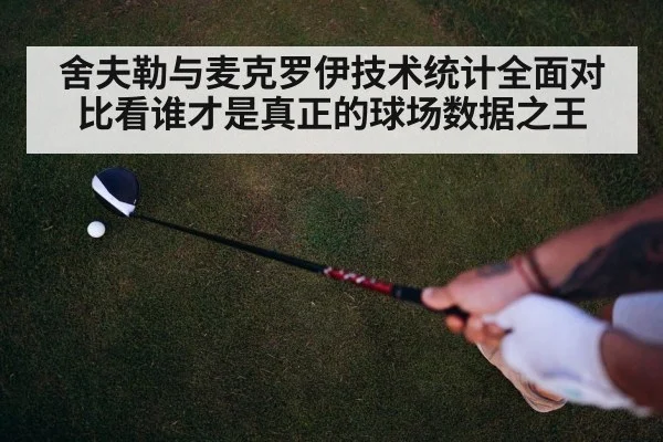 舍夫勒与麦克罗伊技术统计全面对比看谁才是真正的球场数据之王