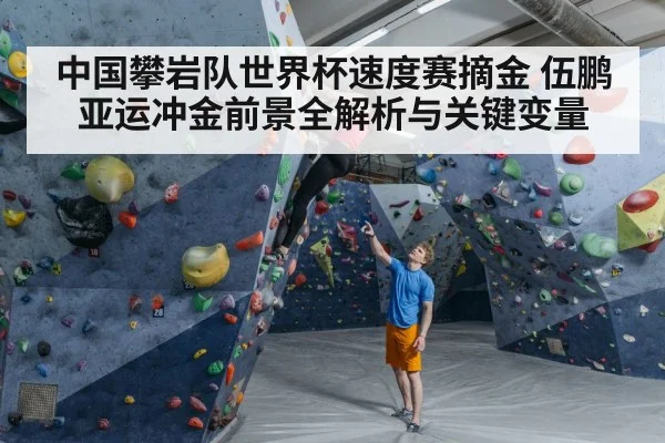 sport climbing competition